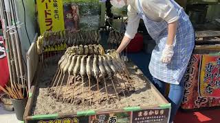 上野動物園でおねえさんと動物園(クラファンリターン)