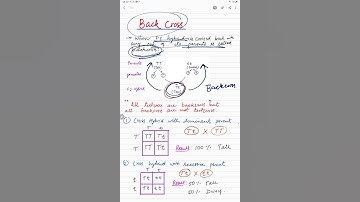 Back Cross | Backcross kise kahte hai? 🤔🤨 #backcross #biology #viralshorts