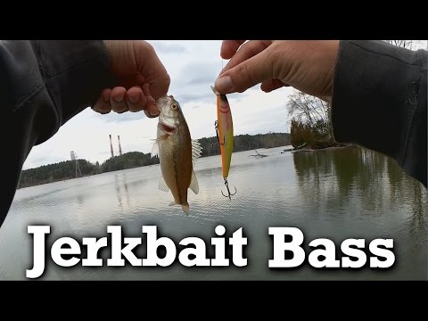 Winter Bass Fishing