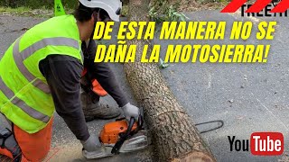 Como cortar con motosierra sin pegarle a la tierra