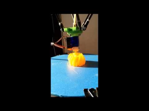 Pinokio Delta 3D Printer