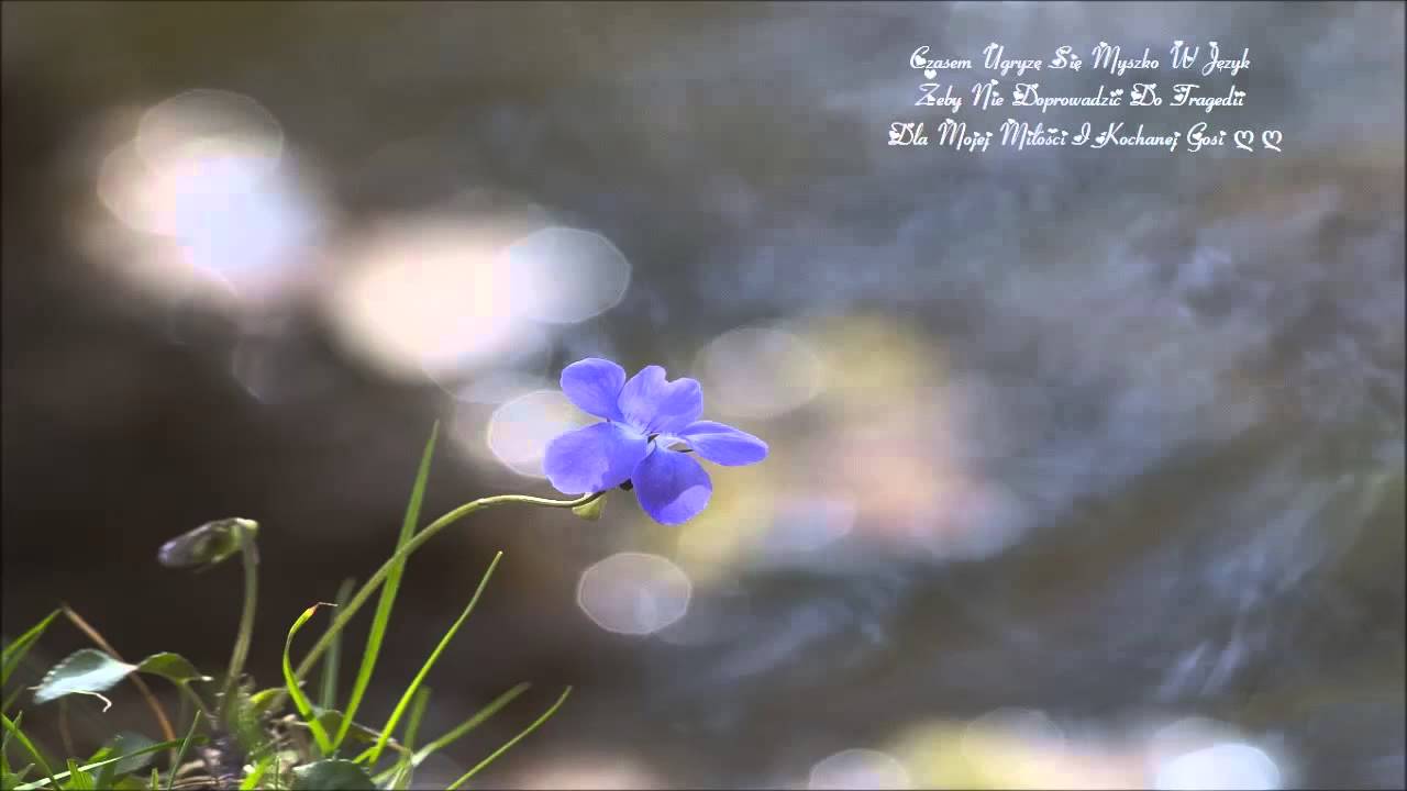 1662 Czasami Tak Jest