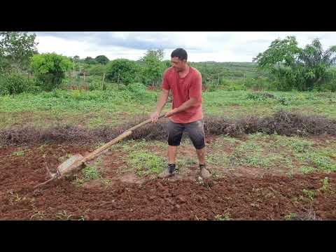 Vídeo: Fazer um arado com as próprias mãos não é tão fácil