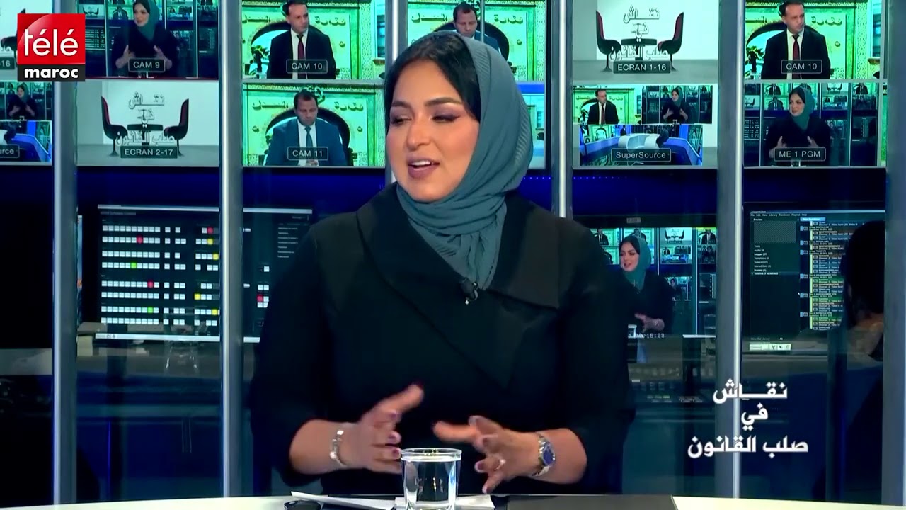 نقاش في صلب القانون