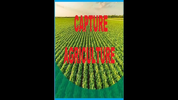 Capturing Agricultural Data in ArcGIS#sorts #trending #gistutorial #qgis #agriculture #education