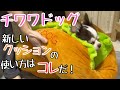 ホットドッグのクッションに喜ぶ犬【チワワ】