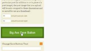 Thesis Theme for Wordpress: An Overview