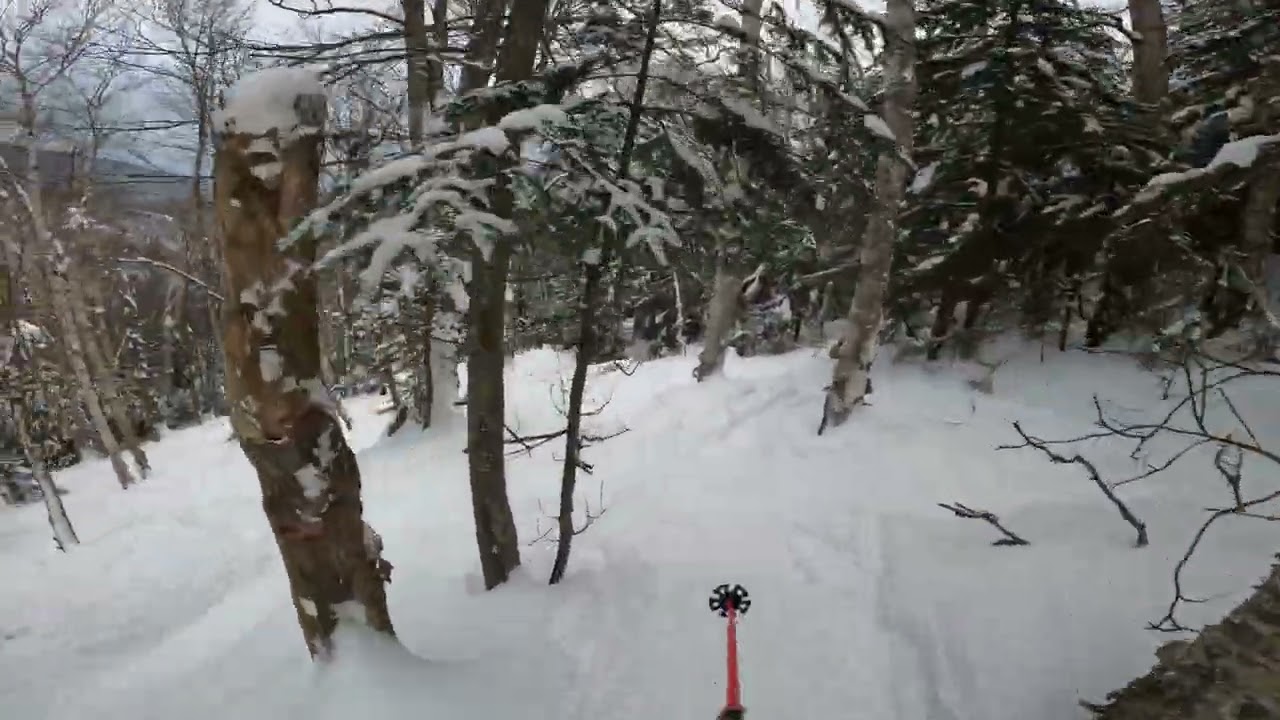 Goods In The Woods - Valley House Traverse Woods to Egan's Woods - Sugarbush (2024)