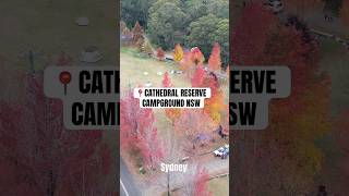 Autumn FREE camp spot with DOG friendly in NSW #camp #glamp #autumn #escape