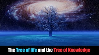Tarot: the Map of the Human Soul (Part 7) the tree of Life and the Tree of Good and Evil