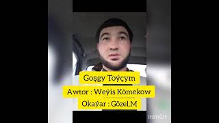 Toýçy Hekimow