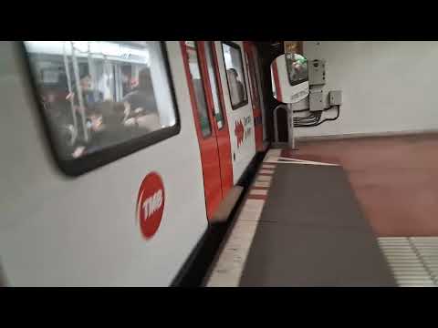 UT8069 Saliendo De Florida Con Pitada  by nomellamo3013