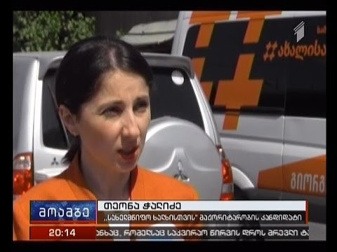 „სახელმწიფო ხალხისთვის“ მაჟორიტარობის კანდიდატი ისნის რაიონის მცხოვრებლებს შეხვდა