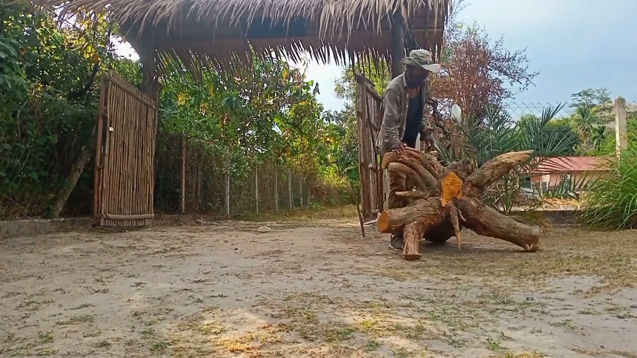 Sorang² ambil masuk teraih perdu ke dalam farm. Kalau semangat kurang tak jadi 💪