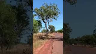 Quiet drive through Milingimbi #Milingimbi #OutbackDrive #TopEnd #ArnhemLand #DriveWithMe #australia