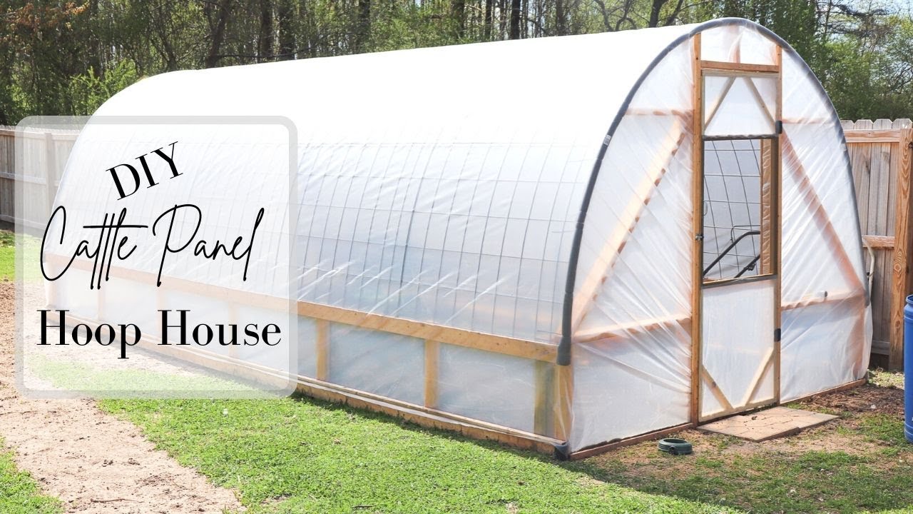 DIY Cattle Panel Hoop House || Build Your Own Cheap & Easy!