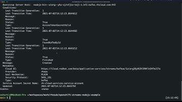 Connecting Node.js Applications to Red Hat OpenShift Streams for Apache Kafka with Service Binding