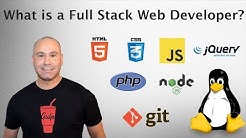 What Is a Full Stack Developer & How To Become a Full Stack Developer in 1 Year 