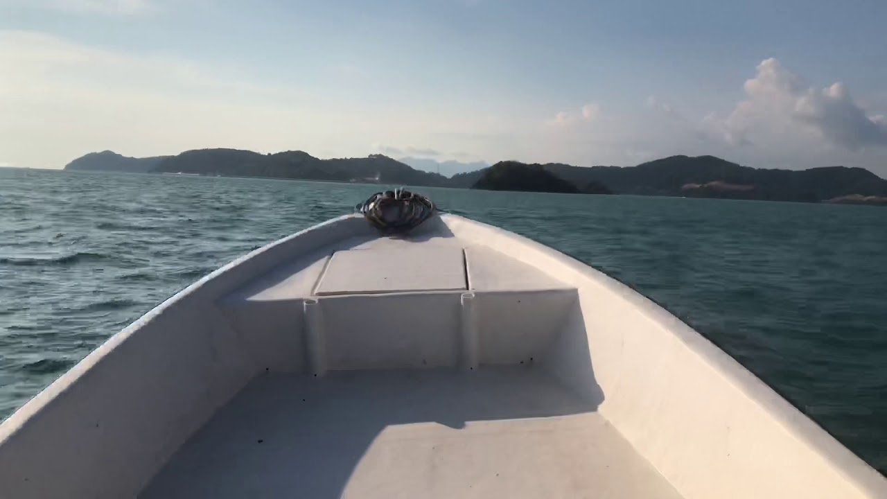 Ladyfish@ giant herring on flyrod