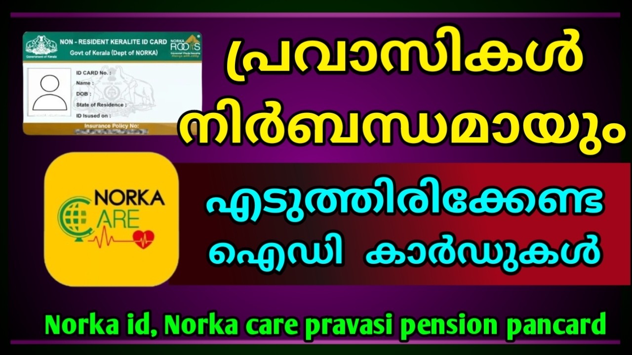 У вас есть удостоверение личности Norka? Вот преимущества, доступные экспатриантам и вернувшимся ...