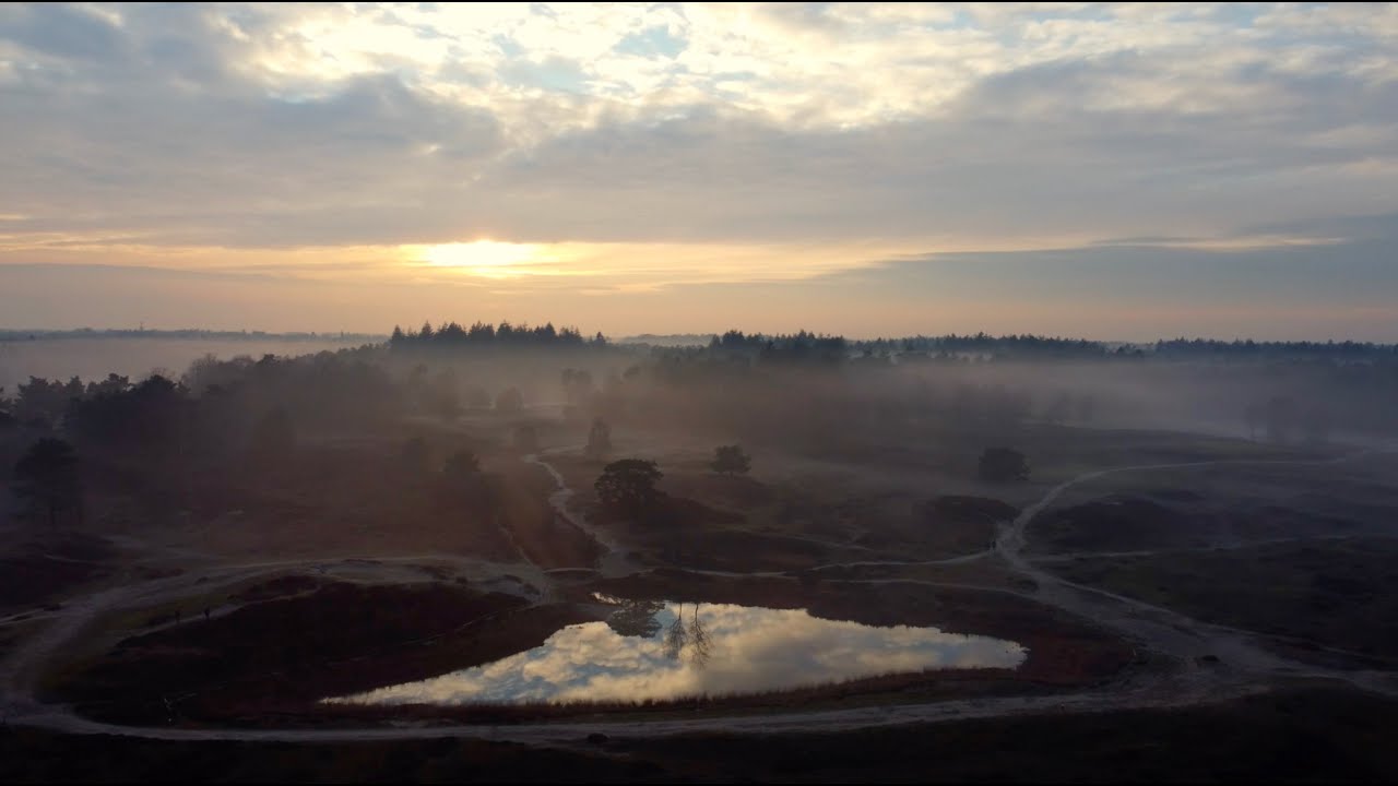 Bornia Heidestein in de mist