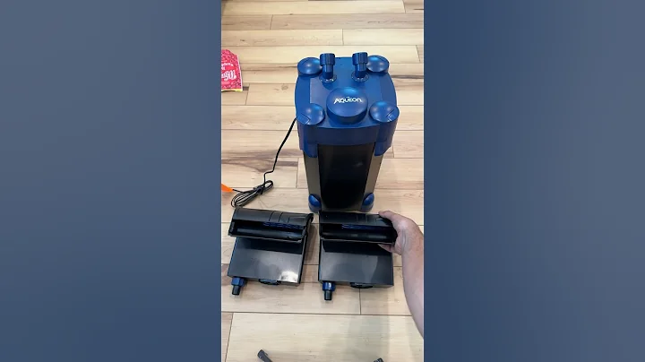 Hybrid canister AND hang on back filter?!