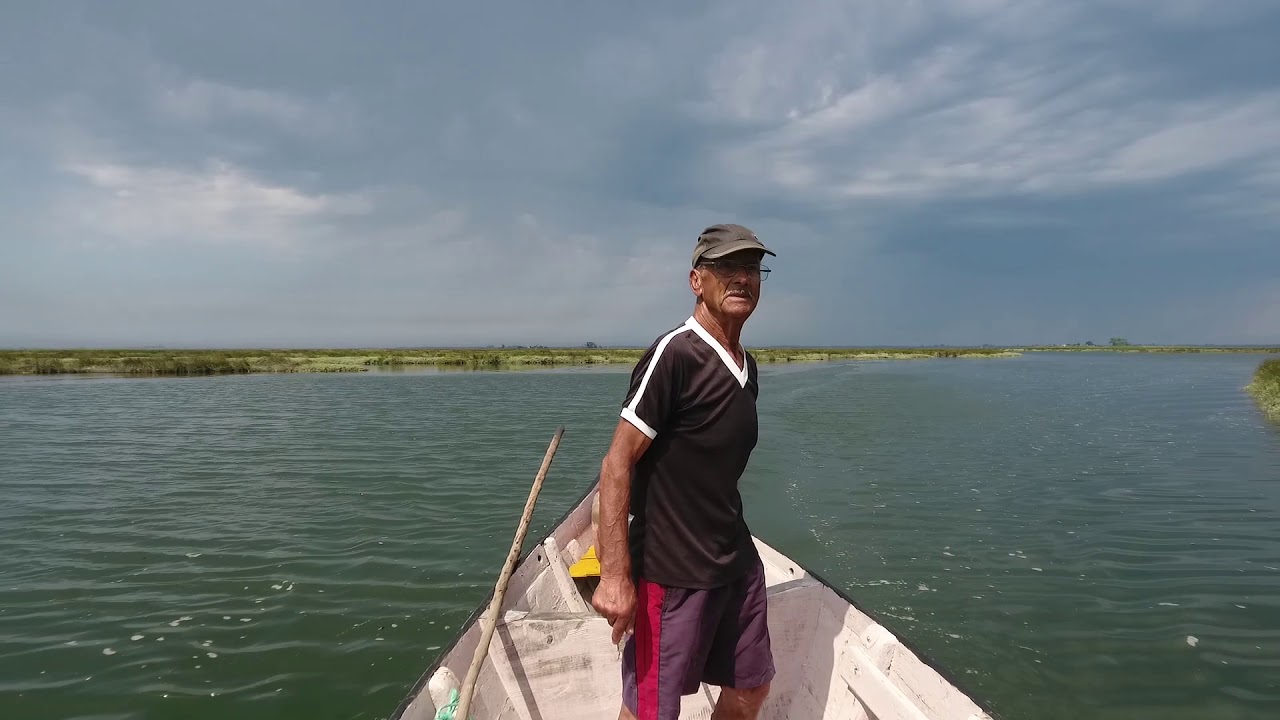 Foto passeios de bateira nos canais da Ria na Murtosa 1