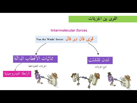 فيديو: في الجزيء المترابط تساهميًا؟