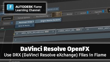 DRX-bestanden (DaVinci Resolve eXchange) gebruiken in Flame - Flame 2025.2