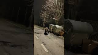 Close Encounter With a Bear Checking the Trash