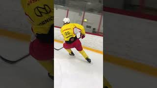 Puck retrieval, game like