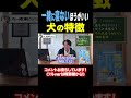 【犬しつけ】一緒に寝ない方がいい犬の特徴