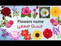 Flowers Names in Tamil and English | Kids Learning Video 🌸| Tamil &amp; English | Fun kids
