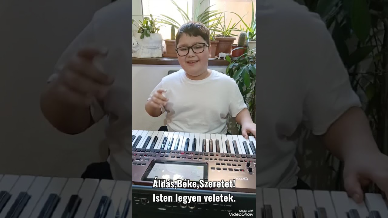 Kis Milán / Virág a virágnak - 2O26 