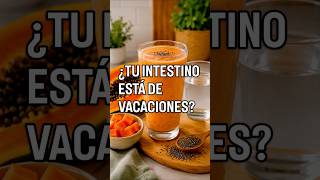 🚨TU INTESTINO ESTÁ DE VACACIONES?