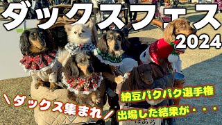 20 | 2月 | 2025 | ダックスフントフェスティバル公式サイト