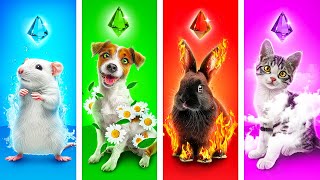 I Saved 4 Elements Pets! Fire, Water, Air and Earth Pets