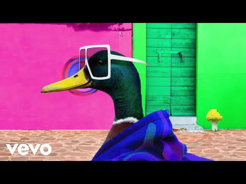 Crazy Music Channel - Techno Duck