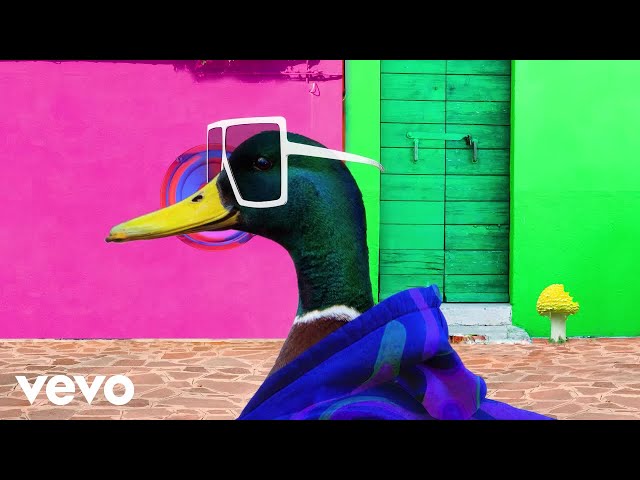 Crazy Music Channel - Techno Duck