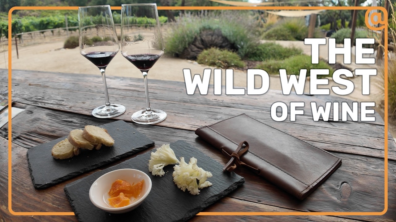 Почему этот деревенский городок — мечта любителей вина (Пасо-Роблес, Калифорния)