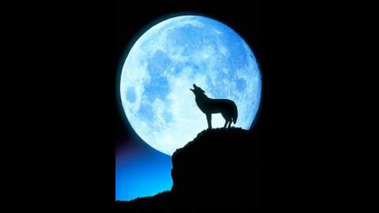 Wolfblood - Promise that I keep - Lyrics