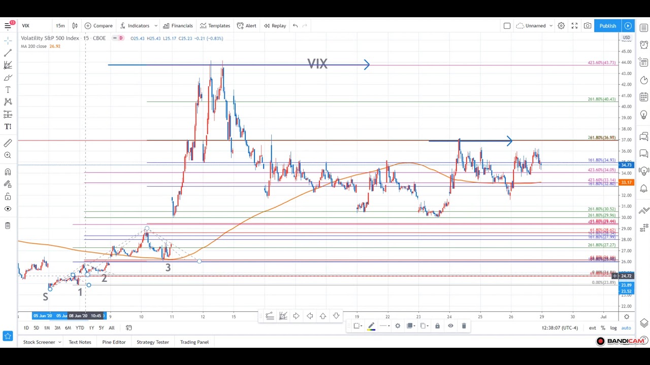 Vix Size Chart