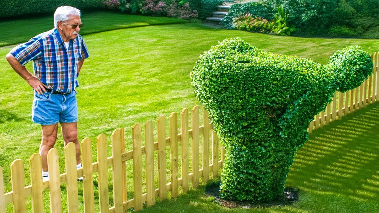 Los Vecinos Más Detestables Captados En Cámara