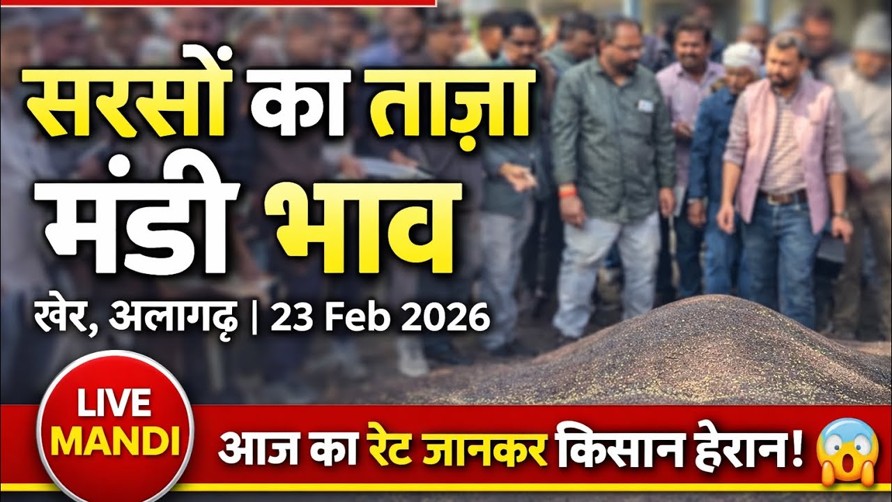 सरसो की लाइव बोली खैर अलीगढ़ मंडी  | Sarso ka bhav | today mandi bhav #sarsobhav #kisan 