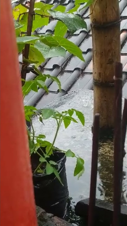 Story Wa Hujan, Kamis 20 Januari 2022