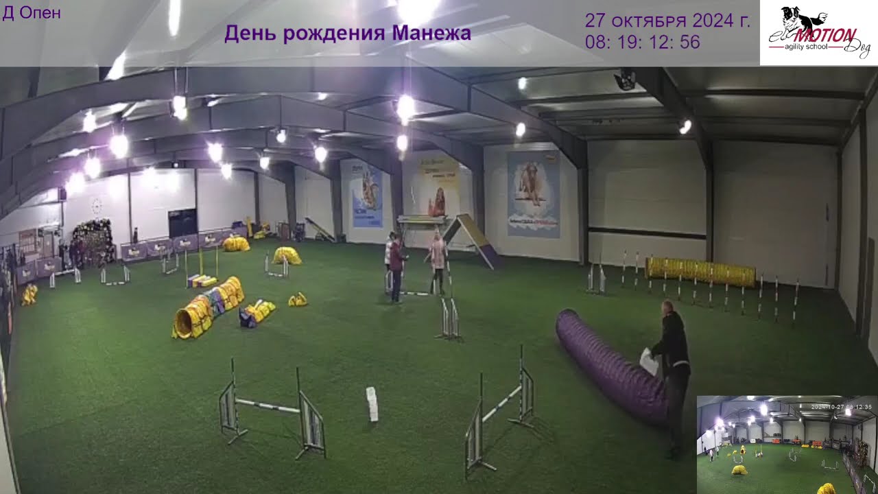 День рождения Манежа. Аджилити / Agility. Спорт с собакой. Dogs