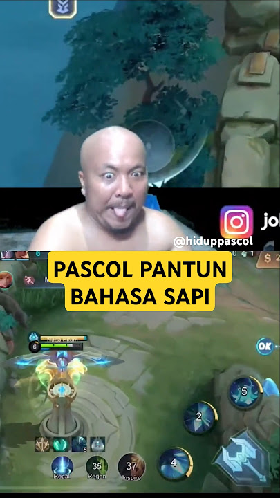 PASCOL PANTUN BAHASA SAPI ❗❗🤣🤣 #pascolshort #hiduppascol #pascol #pascolpantun