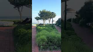 Tribute  park peaceful waterfront memorial #tributepark #queensny #911memorial #memorialpark 