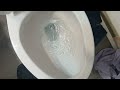 556. AS Champion Toilet At My Great Aunts Apartment