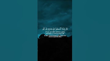 رزكار الكردي - سورة يوسف #الحمدلله #قرآن #راحة_نفسية